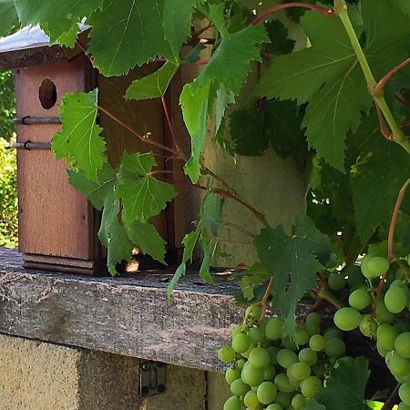 5 Lasserre Moulon-sur-Dordogne Ngoại thất bức ảnh