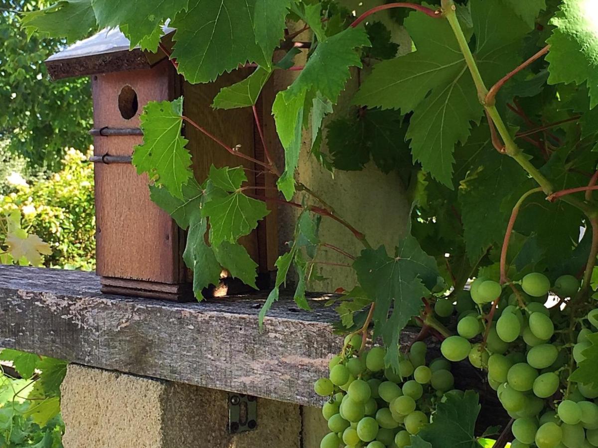 5 Lasserre Moulon-sur-Dordogne Ngoại thất bức ảnh